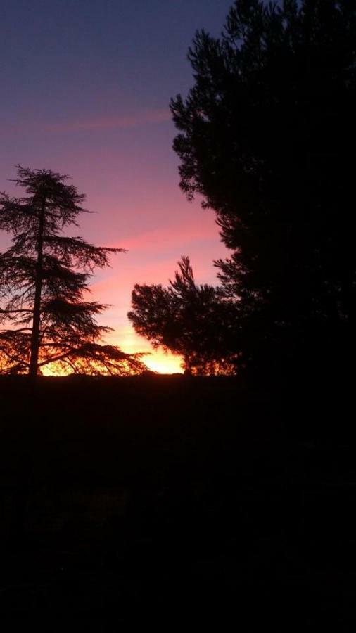 Вилла Finca El Cerco A 5M De Puy Du Fou Y 10M A Casco Antiguo De Toledo Архес Экстерьер фото